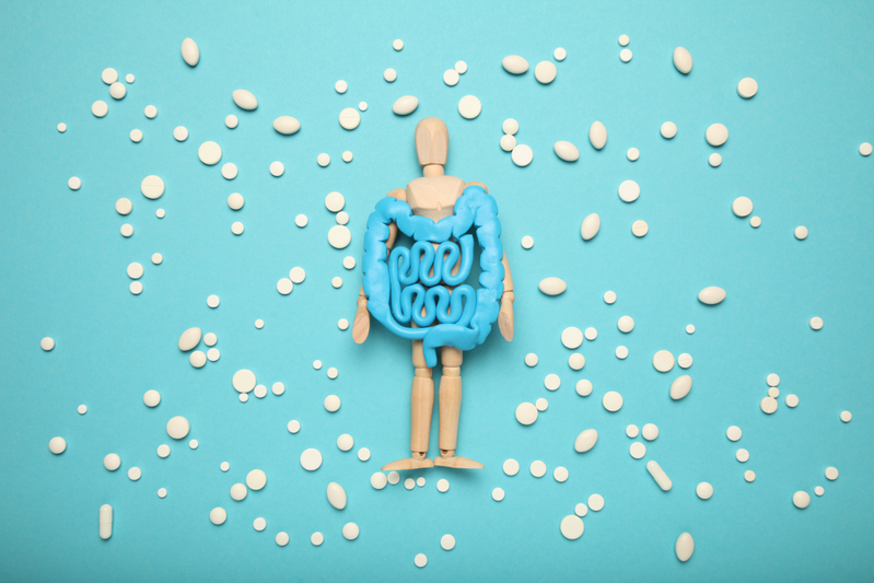wooden model of a person with an oversized model of the gut surrounded by white pills of various shapes and sizes